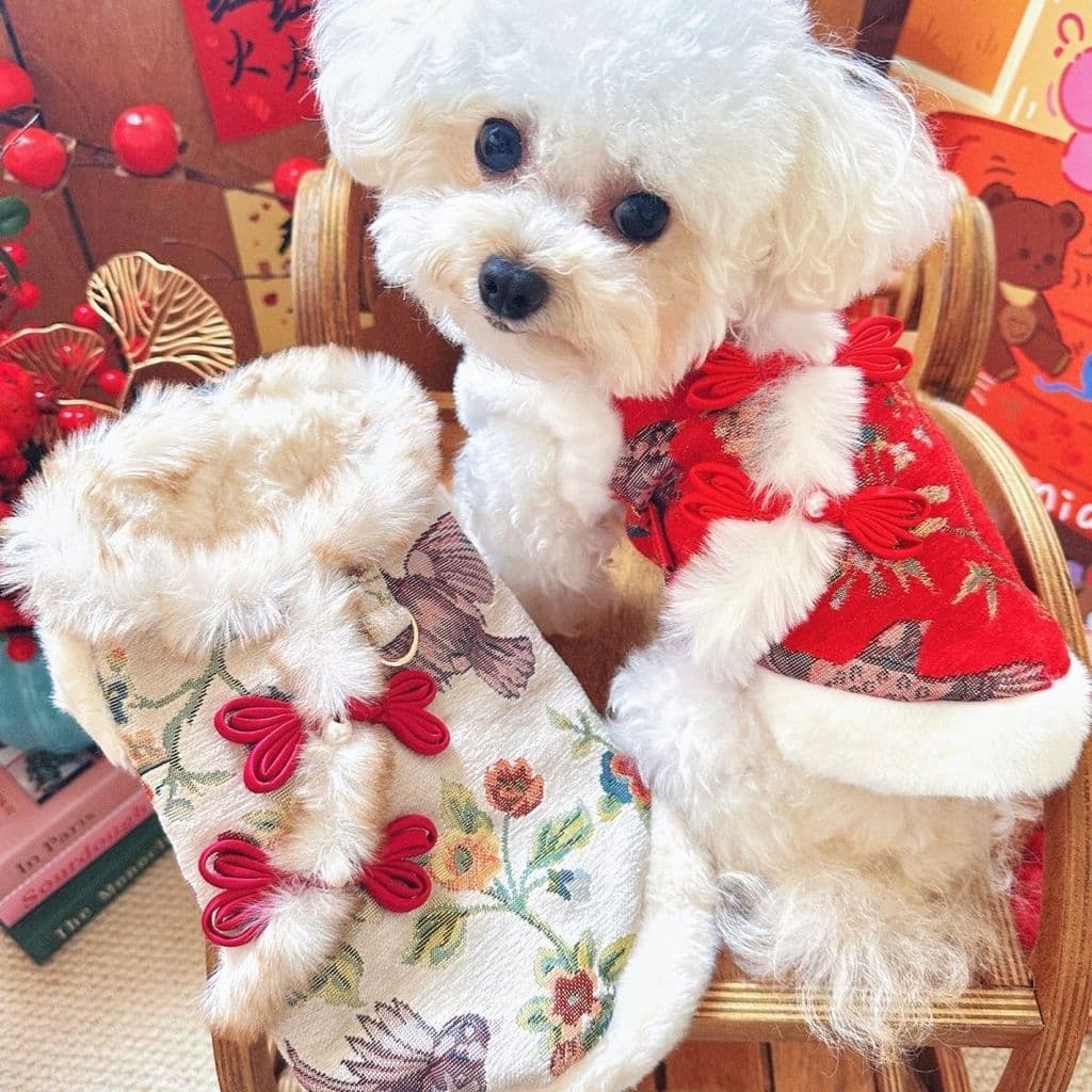 Estilo chinês Retro bordado animal de estimação roupas de ano novo Tang terno estilo chinês tração roupas acolchoadas Bi