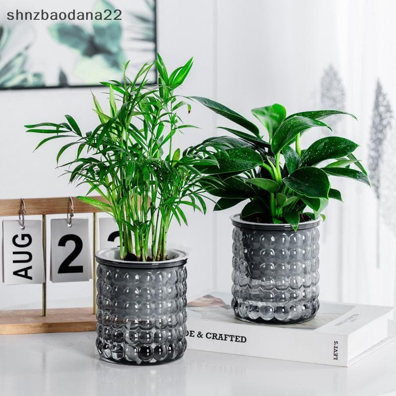 [Shnzd] Mini Vaso De Flores Com Rega Automática Para Tanque De Peixes Vasos De Plantas De Plástico Transparente Planta D