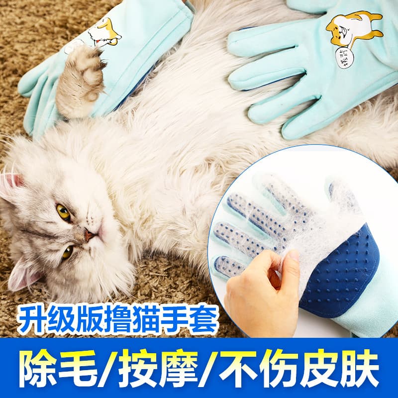 Suprimentos para gatos