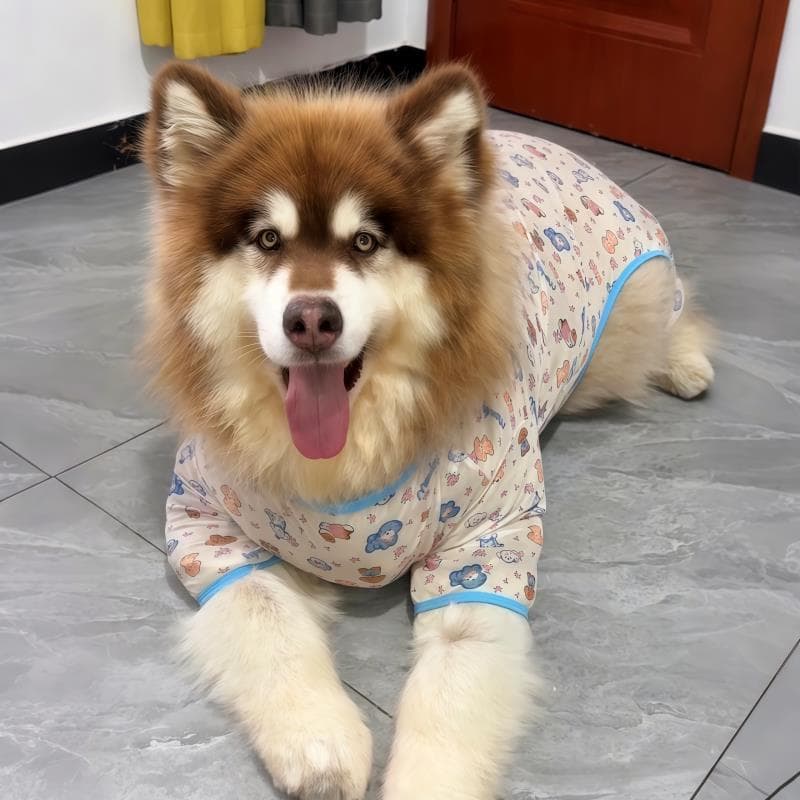 Roupas para cães dos desenhos animados roupas para casa macacão roupas de quatro patas pijamas alasca Anti-lint cães gra