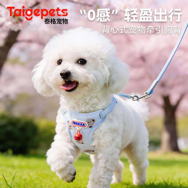 Coleira para cachorro, coleira para caminhada de cachorro pequeno, tipo colete para transportar cachorros, Bichon dedica