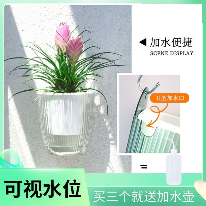 Vaso de flores transparente absorvente de água automático montado na parede, varanda de plástico, endro verde ou