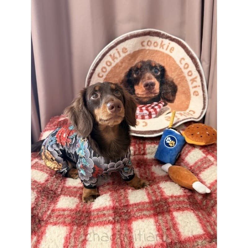 Dachshund flor braço tatuagem roupas macacão roupas de quatro patas engraçado Social cão vestir-se roupas para cães Corg