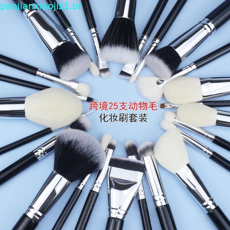 Pincéis de Maquiagem Profissionais de Cabelo de Cabra Natural para Viagem com Estojo, Conjunto de 15 Pincéis Kabuki para