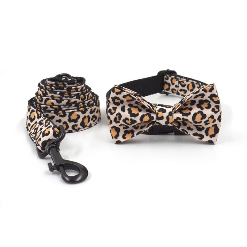 Conjunto de coleira de liga de zinco, coleira preta para animais de estimação, laço, fivela para coleira de cachorro.