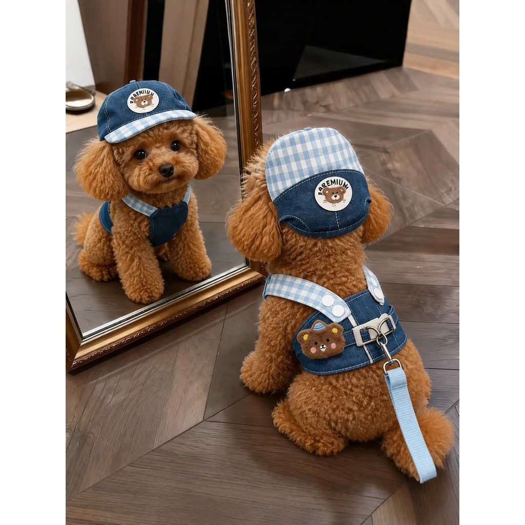 Coleira de cachorro fofa, alça peitoral, roupas de pelúcia para cachorro pequeno, conjunto de chapéu, caminhada de verão