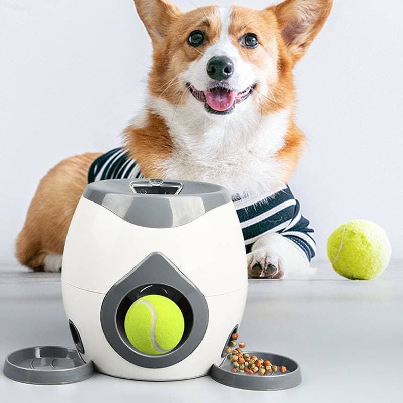 Brinquedo para cachorro 2 em 1 lançador de bolas de tênis sem bateria