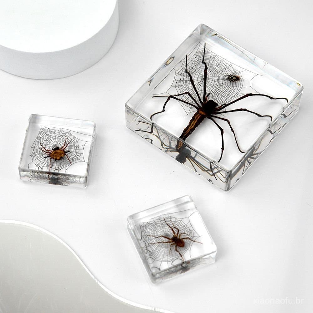 Inseto Popular do Milênio: Espécimes Autênticos de Aranhas e Insetos Direto da Fonte, Ornamento Artesanal em Resina V3X1