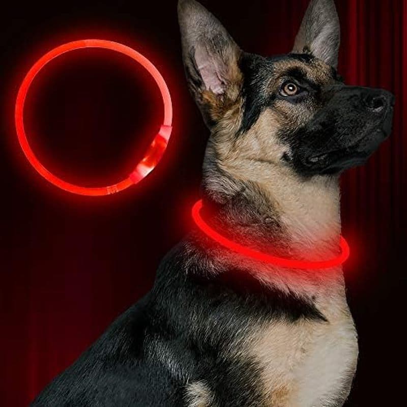 Coleira De Cachorro Led , Recarregável USB BSEEN Iluminada | Colar De Segurança Para Animais De Estimação Torna Seus Cãe
