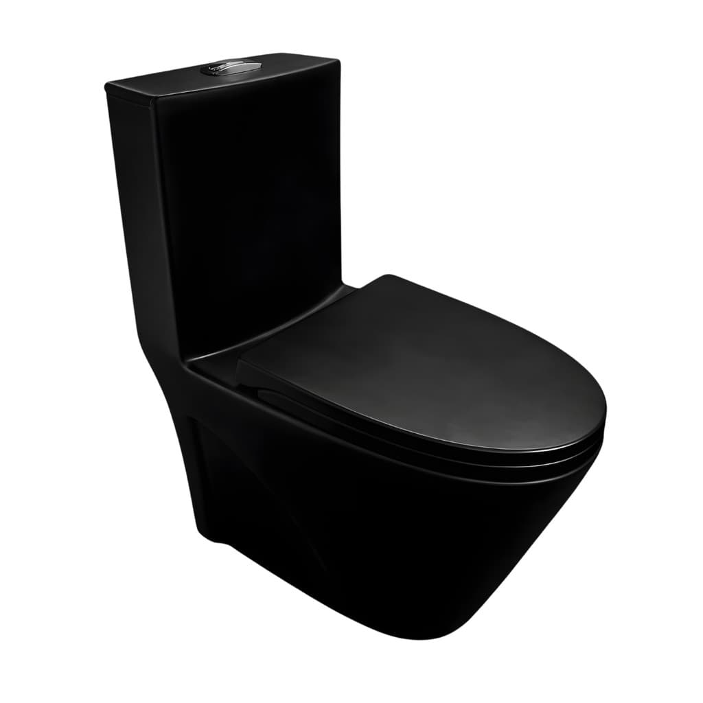 Vaso Sanitário Monobloco Caixa acoplada Privada Londres Preto