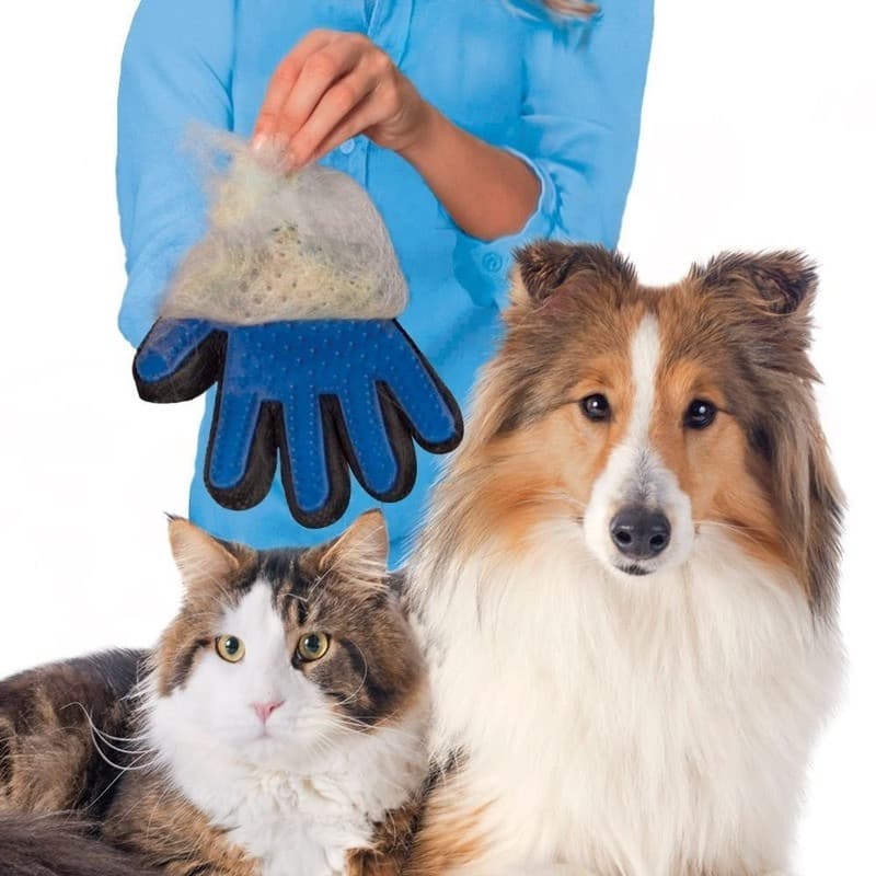 Luva Nano Magnética Tira Pelos Pets Cães Gatos