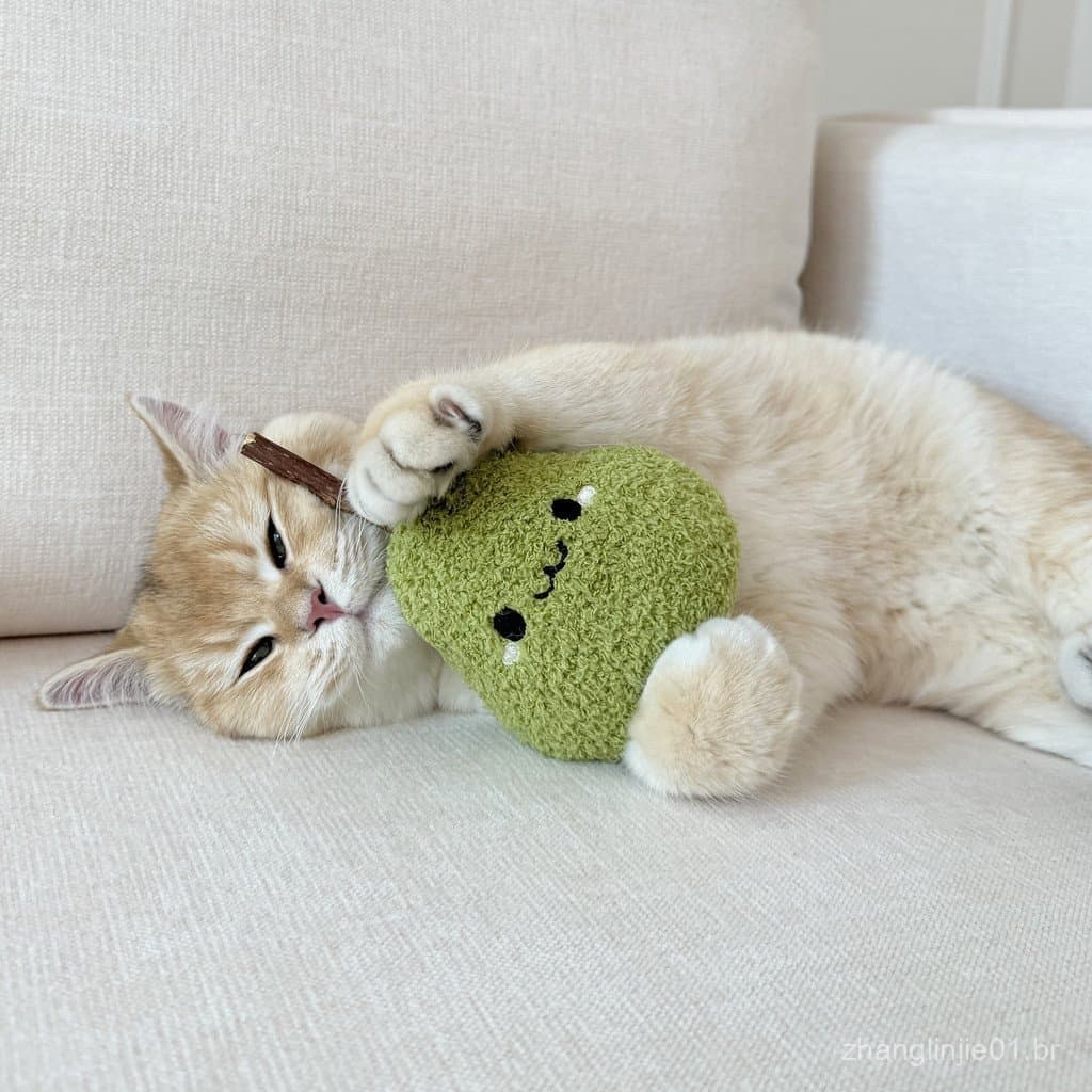TOOCAT Brinquedo de Mastigar para Gatos com Catnip, Varinha Mágica para Auto-Entretenimento de Gatos, Acessórios para An