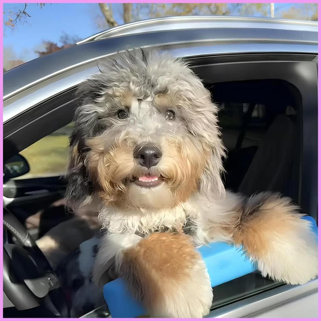 Janela Queixo Resto Para Cães Almofada De Espuma Macia Cão Guardas Carro Filhote De Cachorro Gatinho Pequeno Grande Médi
