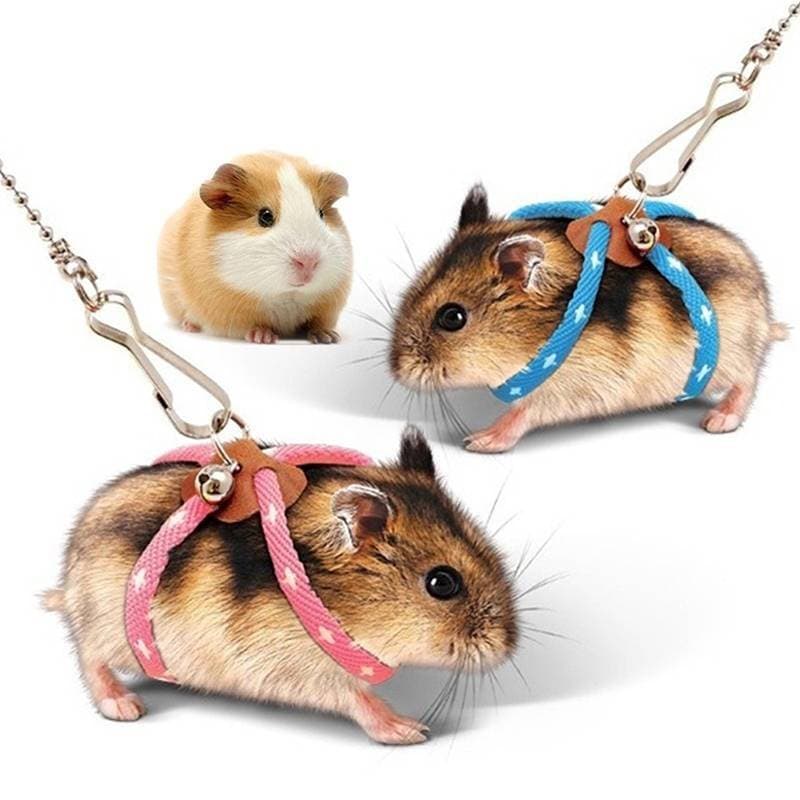 NWBR Conjunto De Arnês De Trela De Hamster Pequeno Ajustável Com Sinos Furões Corda De Tração Gelatina