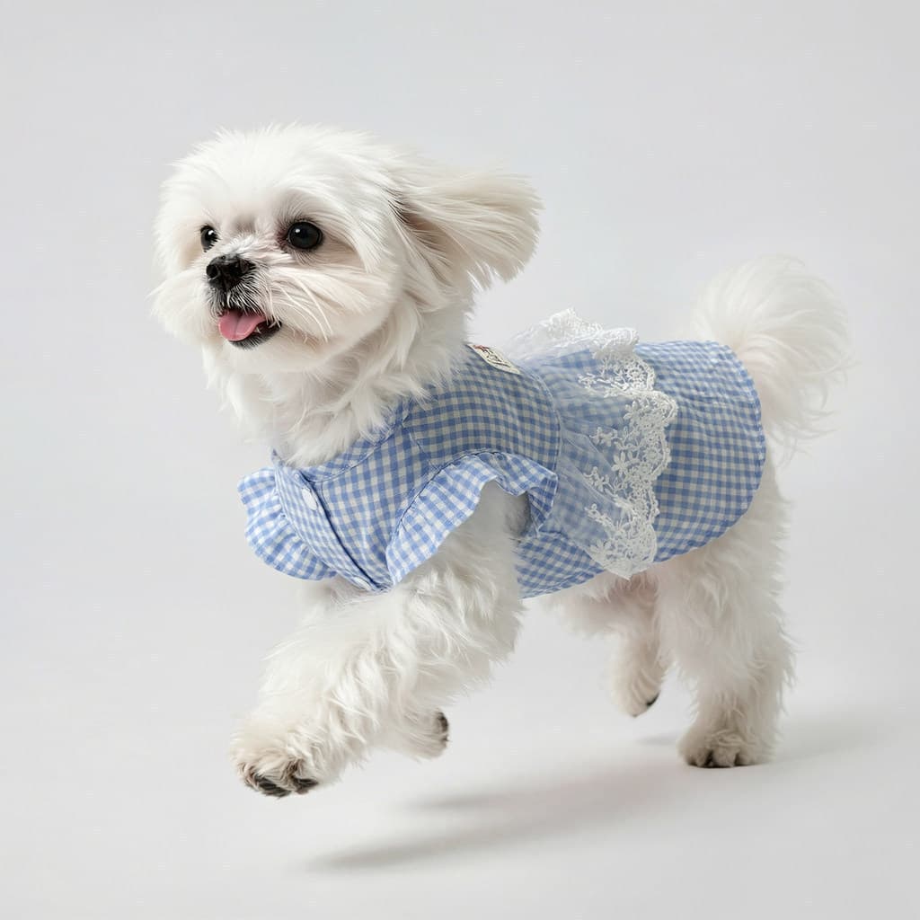 Roupas para cães Bichon, Shiba Inu, Corgi, novo vestido de princesa para animais de estimação de verão, fino, anti-despr