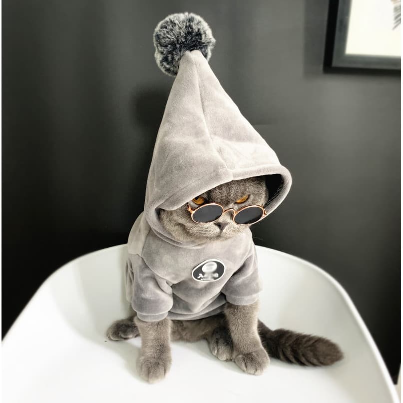 Street Wear gato cão gato roupas para animais de estimação britânico curto azul gato outono inverno roupas dupla face ve