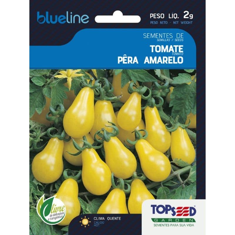 Sementes de Tomate Pêra Amarelo Topseed Blue Line Solanum lycopersicum Horta Vaso Cultivo Caseiro