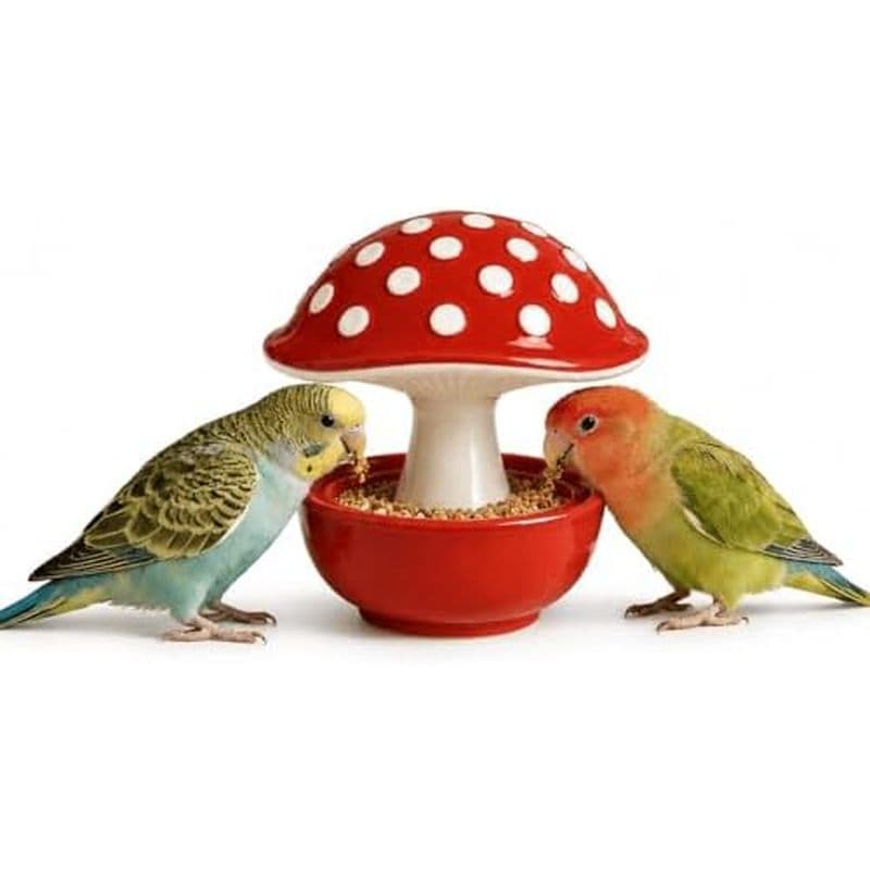 Tigela De Alimentação Para Animais De Estimação De Cerâmica Vitrificada Em Forma De Cogumelo , Comida Anti-Poeira E Derr