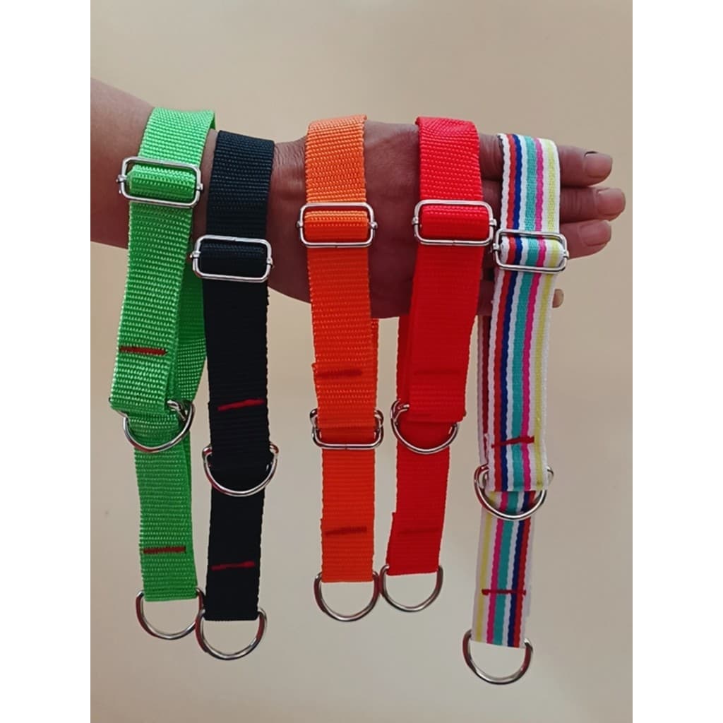 Gli coleira de cachorro ajustável, grande, médio e pequeno, Universal, fina, Ebit, coleira de cachorro, Hound, corda de
