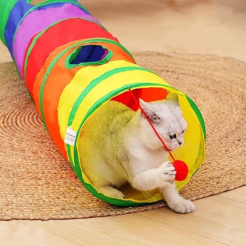 Túnel Colorido Pet Entretenimento Atividade Física Estímulo Cães Gatos 115m