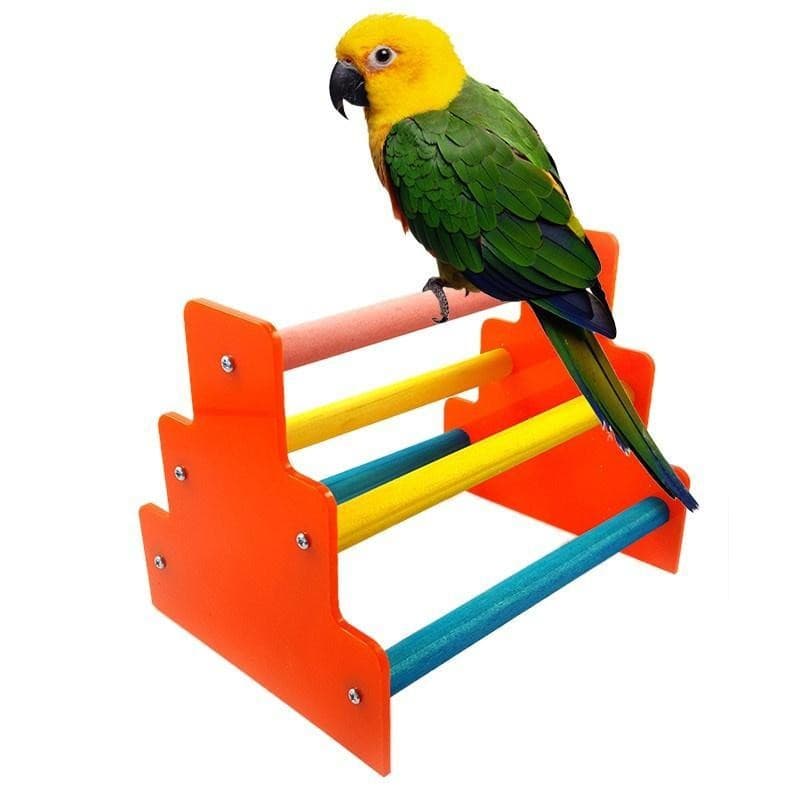 Parrot Play stand Poleiro Tampo De Mesa Todos Os Pássaros De Tamanho Médio Starvin Marvin Designs
