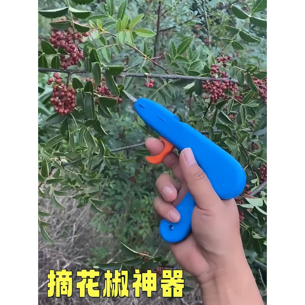 Ferramenta útil dedicada para escolher pimentas Tesoura multifuncional para colheita de frutas, mirtilo, cereja, Toon, u