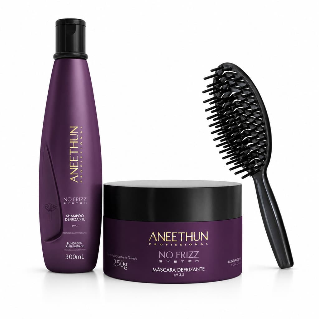 Kit Aneethun No Frizz System - Shampoo 300ml  + Máscara Defrizante 250g + Brinde