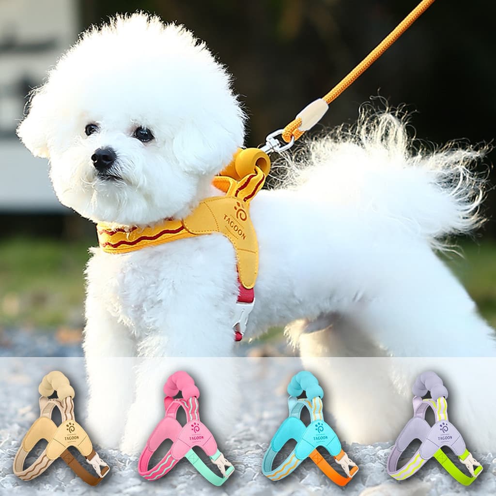 Coleira Ajustável e Respirável para Cães, Confortável para Caminhadas WJYN