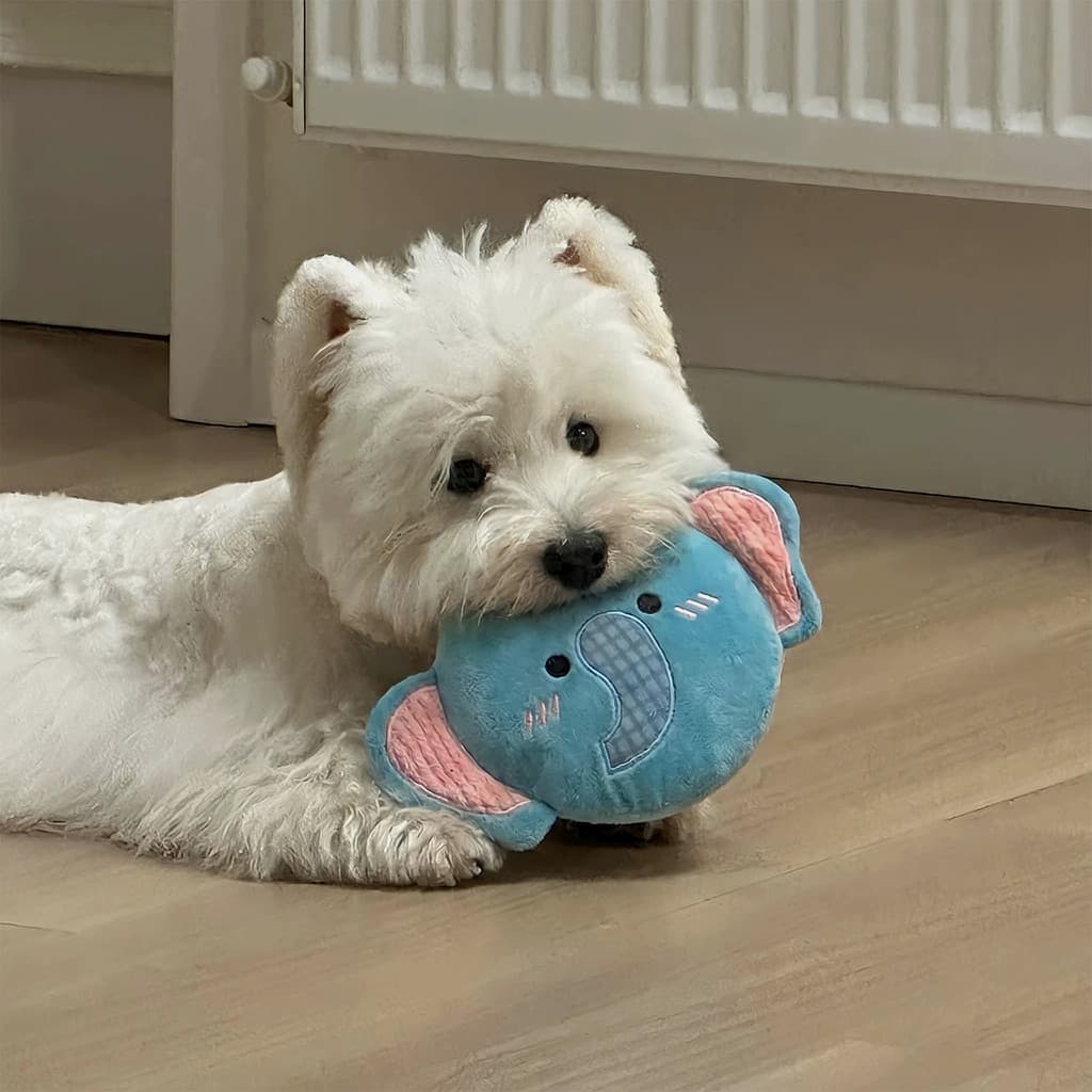 Disco Voador com Som para Cães, Brinquedo Resistente para Treino, Busca e Interação · Coleção Horizonte