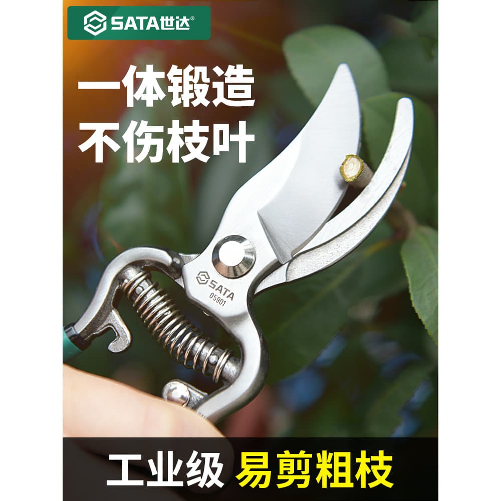 Shida tesoura de galhos de frutas, tesoura de poda doméstica para jardim, jardinagem com tesoura de colheita de primaver