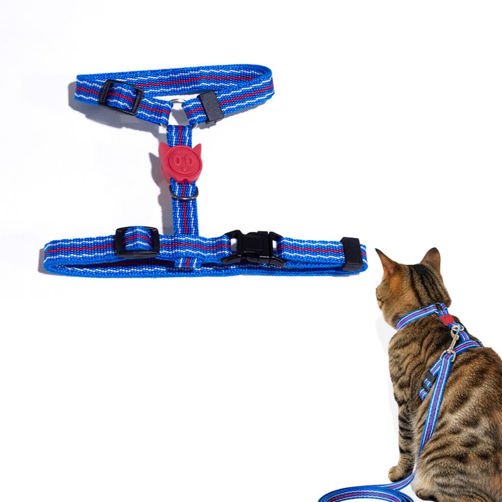 Coleira Peitoral C/ Guia para Gato Ajustável para Passeio MltPet