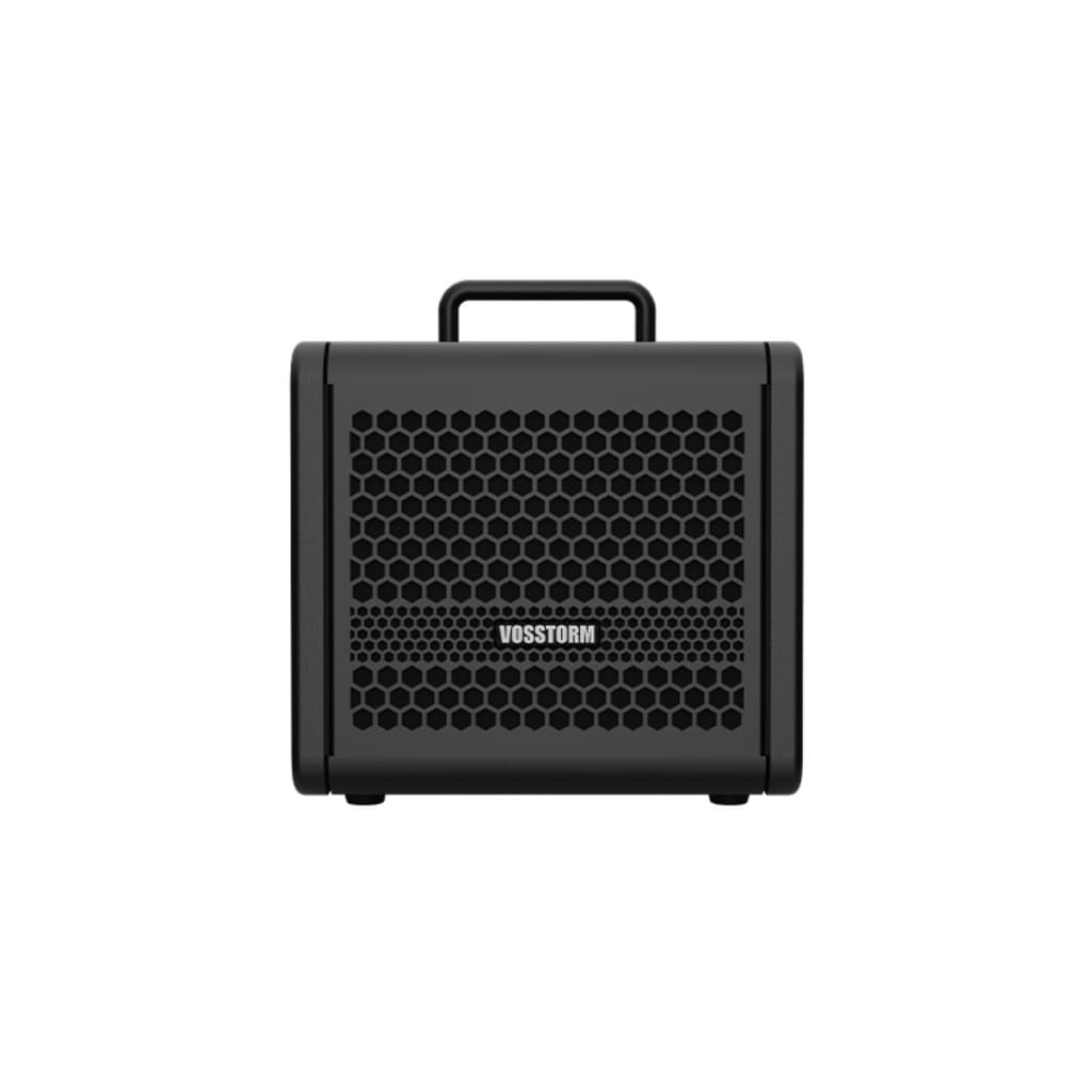 Amplificador Para Guitarra 6 Pol 15w Vosstorm Gx-6