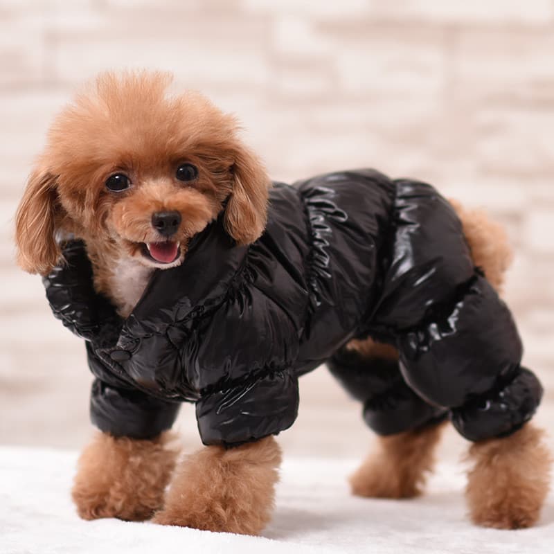 Roupas para animais de estimação roupas para cachorros roupas de inverno para cães outono inverno quentes