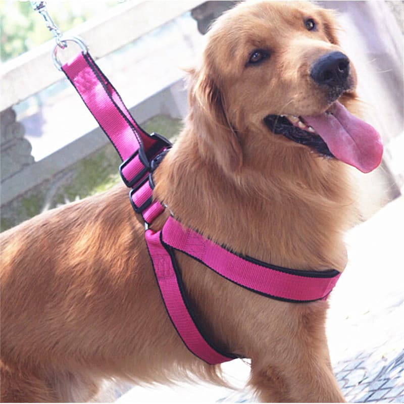 Coleira para cachorro estilo colete médio grande cão Golden Retriever Labrador corda de caminhada para cães coleira para