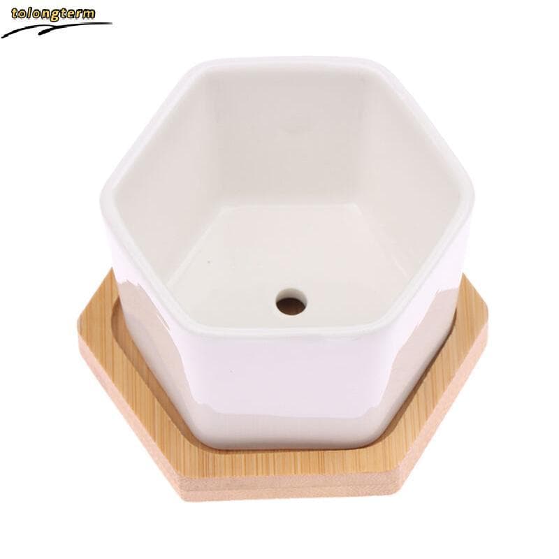 Vaso De Cerâmica Hexágono Branco Com Bandeja Flores Europeu Simples Recipiente De Plantas Pequenos Vasos De Bonsai