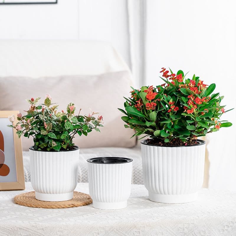 Meixuan vaso de flores preguiçoso auto-absorvente planta verde vaso hidropônico planta suculenta fortuna resina plástico