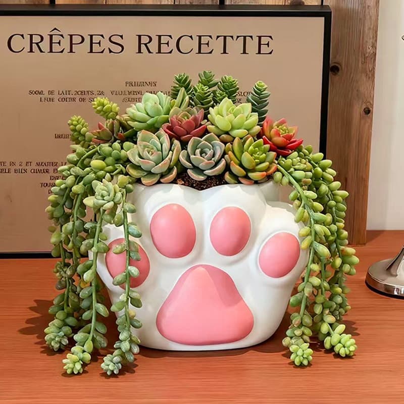 Bonito gato garra forma suculenta vaso de flores criativo decoração mesa planta verde vaso planta casa única flor deskto