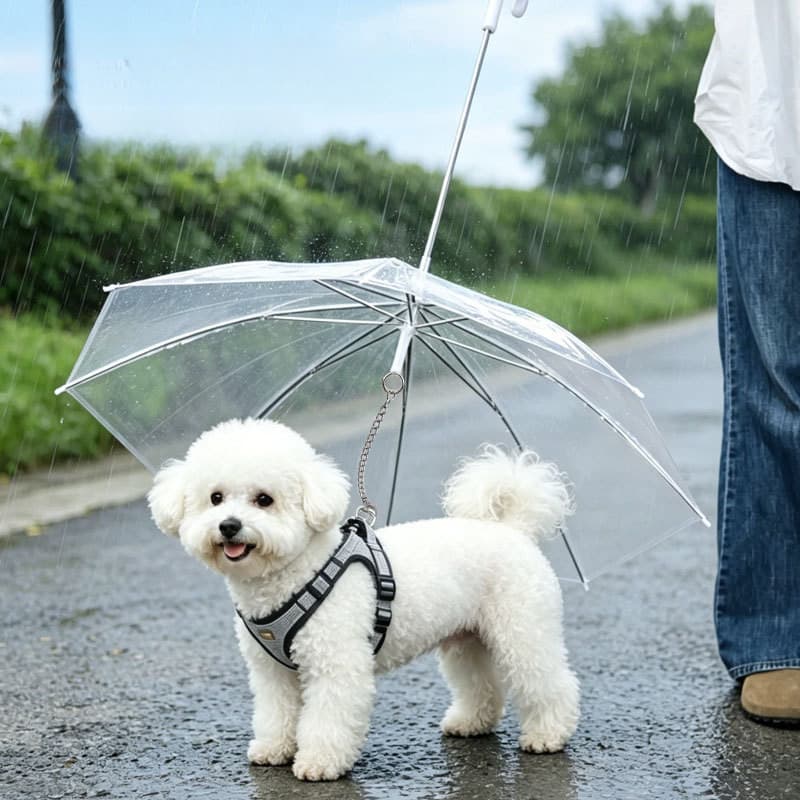 Guarda-chuva Impermeável para Cães com Coleira Integrada, Capa de Chuva para Cães de Raça Pequena e Teddy