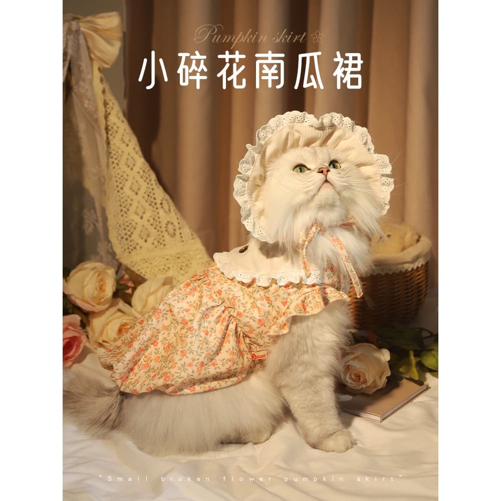 Roupas de gato Anti-fiapos roupas de outono Muppets gato prata gradiente gatinhos animal de estimação outono quente boni