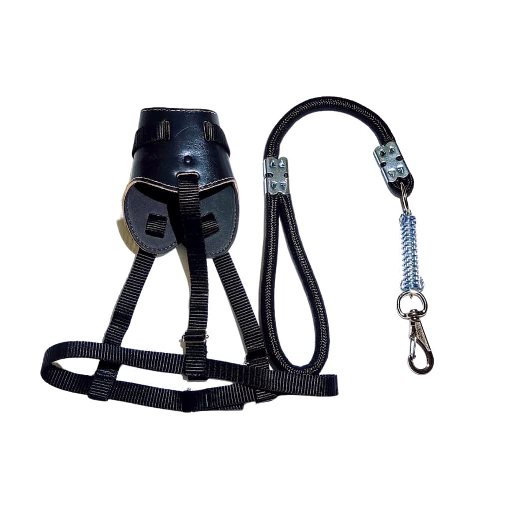 Focinheira Couro para Cachorros + Guia Antipuxão Reforçadas pra cachorros de grande porte pitbull rottweiler pastor
