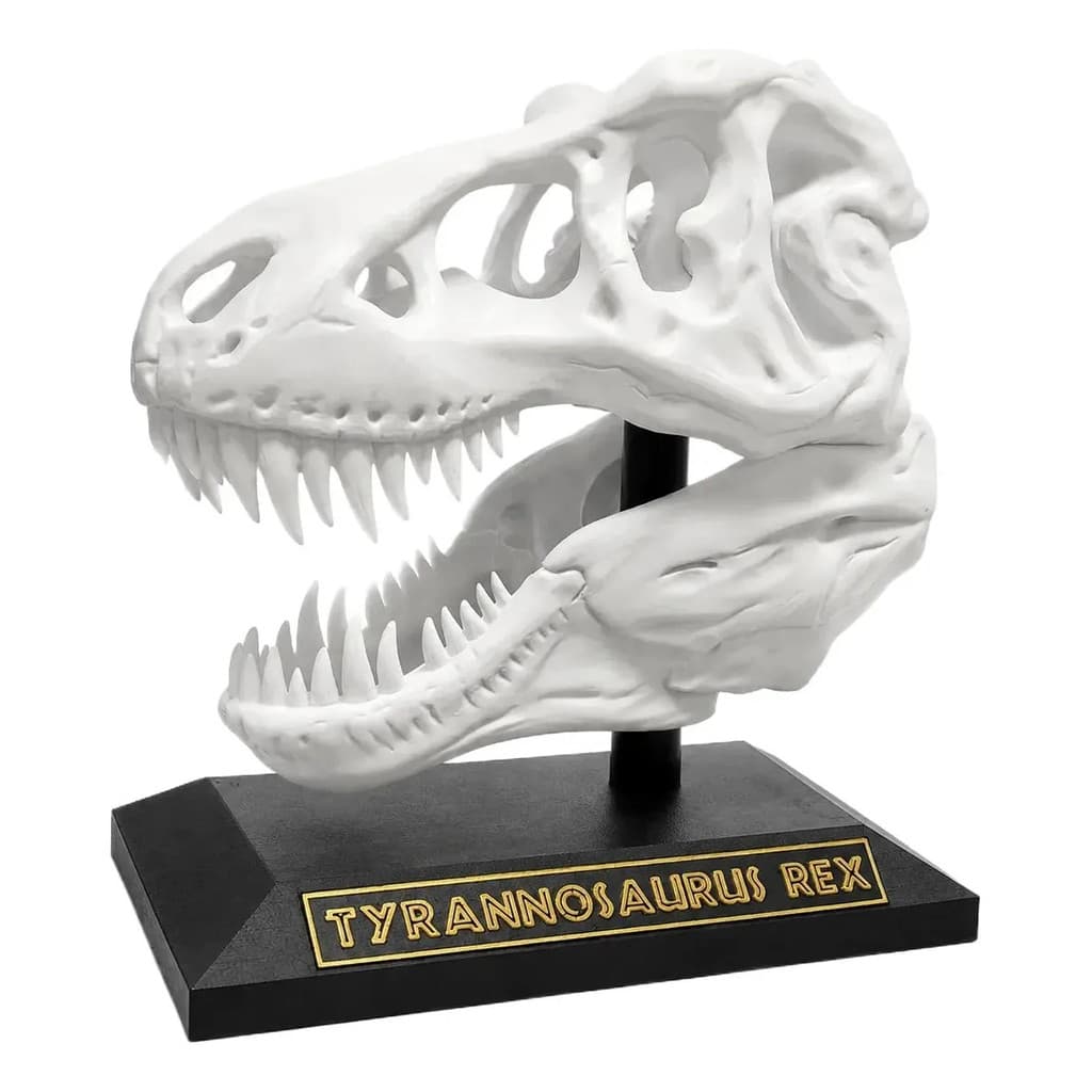 Decoração Cabeça De Dinossauro Esqueleto 3d Enfeite