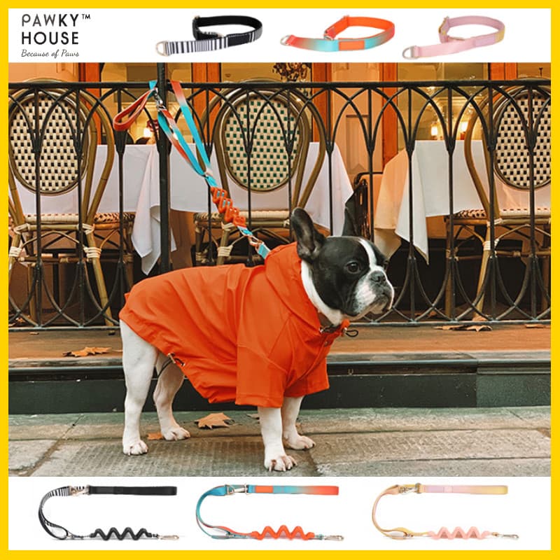 Pa pawkyhouse coleira de cachorro com garras, cachorro andando, filhote de cachorro, combate a explosão, Schnauzer, infl