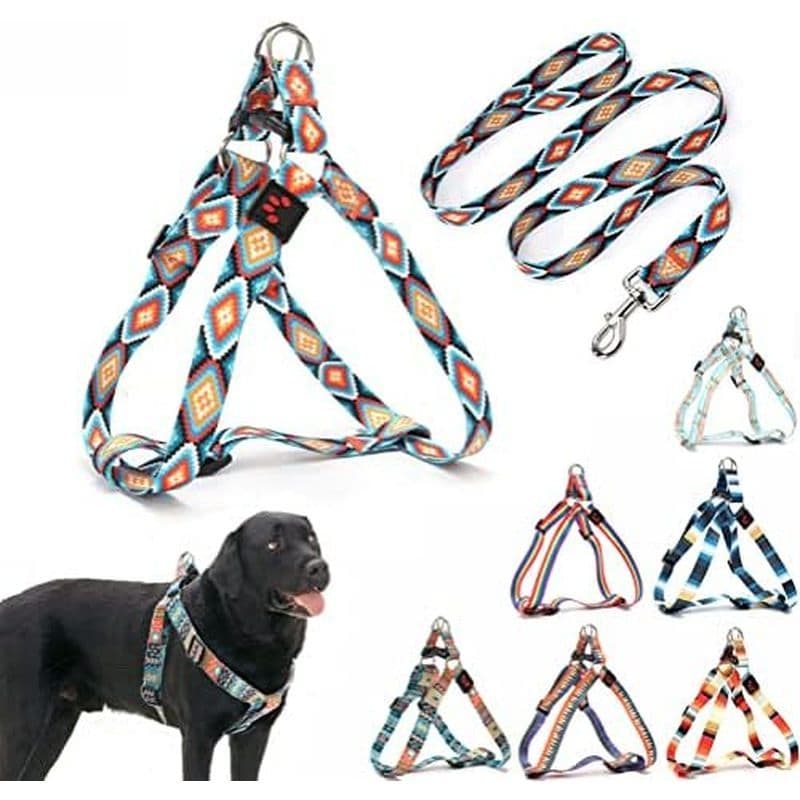 Conjunto De Arnês E Trela Para Cães , Lindo Padrão Sem Puxar Animais De Estimação Halter Colete Filhotes Ao Ar Livre Cam