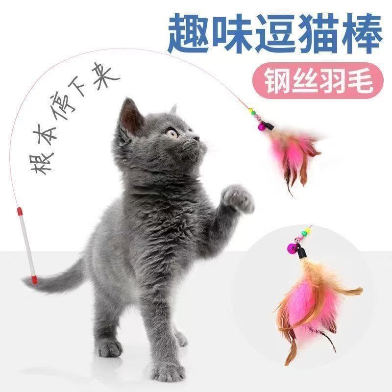 Novo estilo gato provocando brinquedo gato provocando vara haste longa pena com sinos gato provocando brinquedo Pet gato