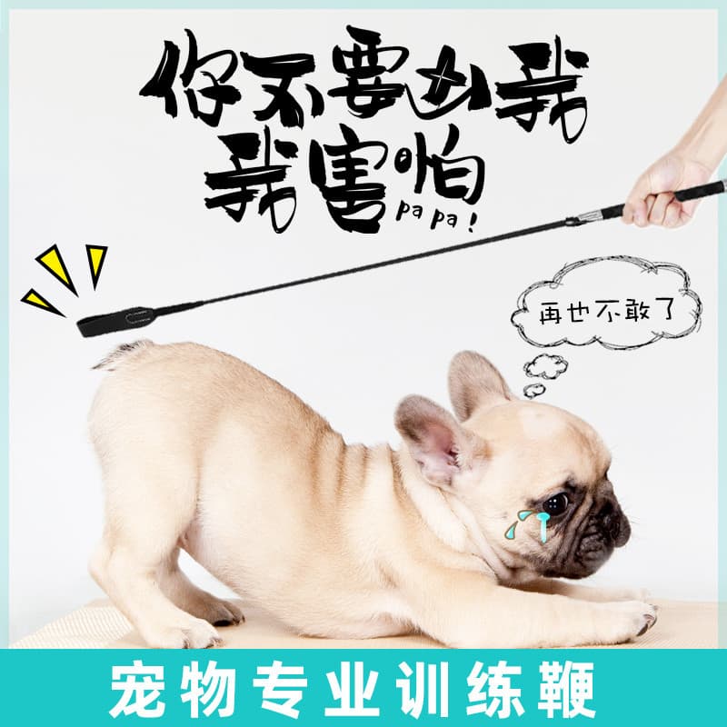 Chicote para treinamento de cães, ferramenta útil para treinamento de cães, dispositivo especial para treinamento de cãe