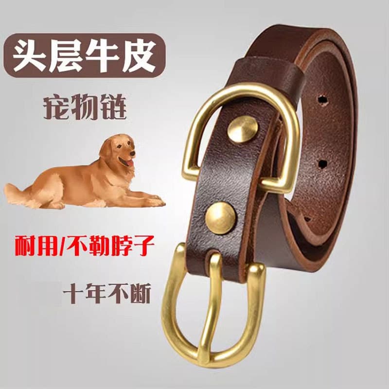 Coleira de pescoço para cachorro, primeira camada de couro, coleira para cachorro, uso doméstico, médio, grande, Golden