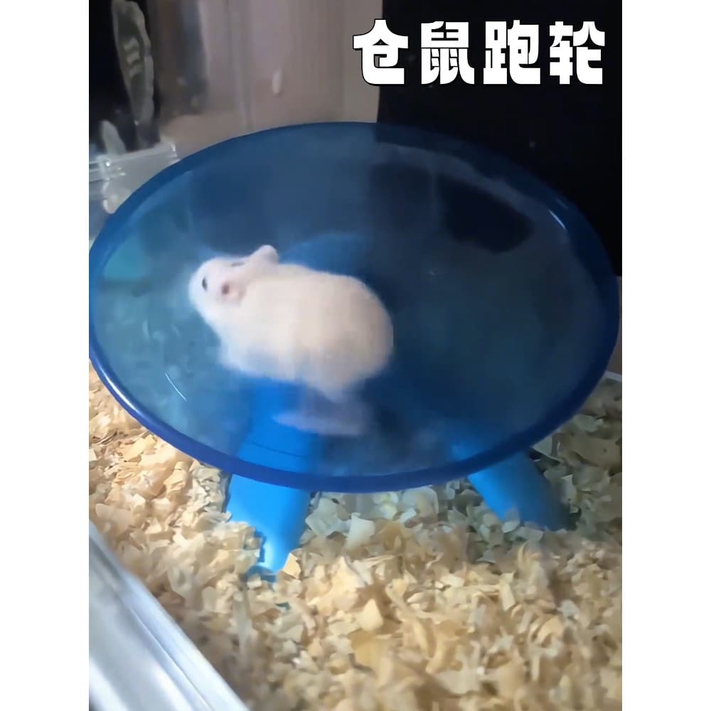 Hamster Ultra-silencioso roda de corrida silencioso grande disco de corrida auto-feliz tédio alívio plataforma giratória