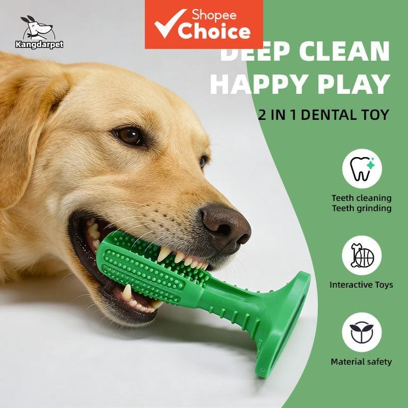 Cão Mastigar Brinquedo TPR Borracha Dental Escova De Dentes Resistente À Mordida Limpeza Interativa Para Todos Os Cães