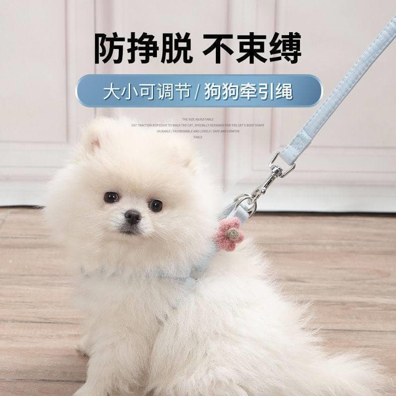 Coleira para cachorro, coleira com manga para pescoço, cachorro pequeno, corpo pequeno, coleira para cachorro, fofa, ver