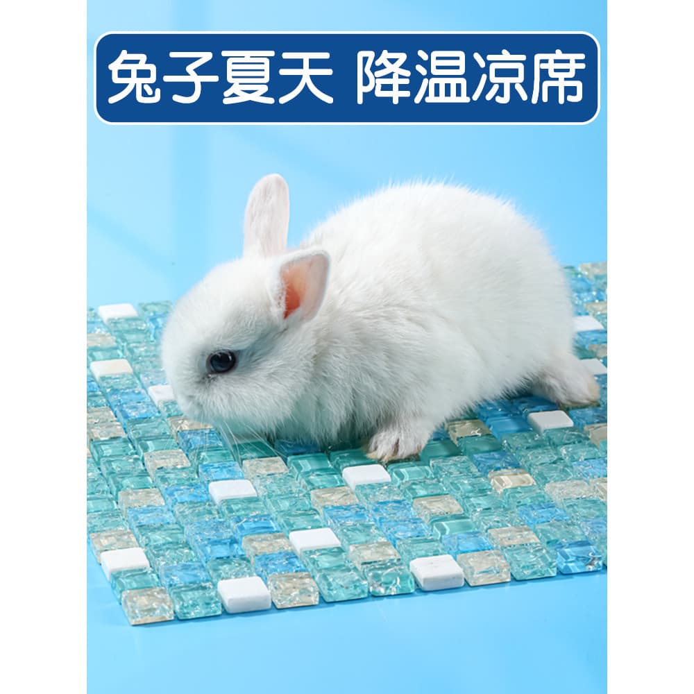 Almofada de gelo para coelho de estimação, almofada de resfriamento de alumínio, fio dourado, urso, Hamster, verão, resf